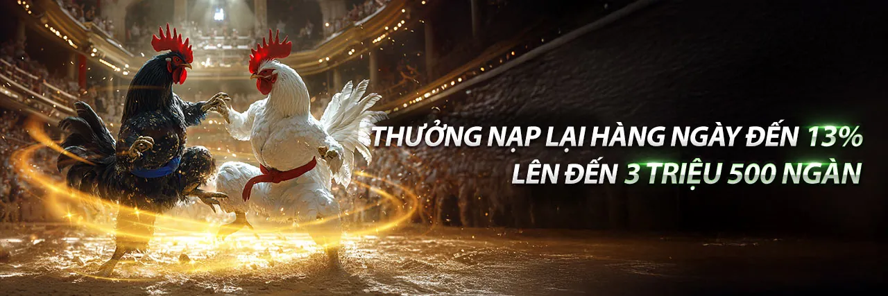 Đấu trường đá gà trực tuyến 8kbe xổ số